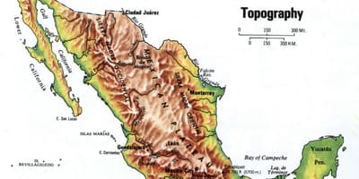 Meksik kat topografik